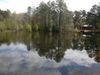 116 Huger St photo